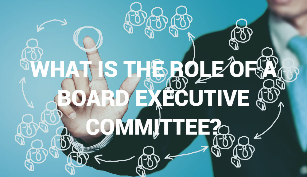 What is the role of a board executive committee