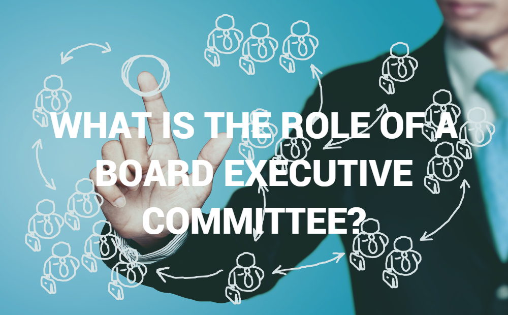 what-are-the-duties-of-executive-committee